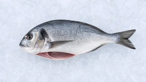 Dorade ausgenommen
