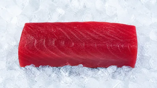 Thunfisch Filet