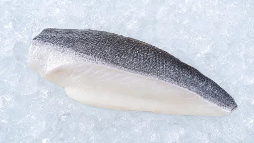 Wolfsbarsch Filet
